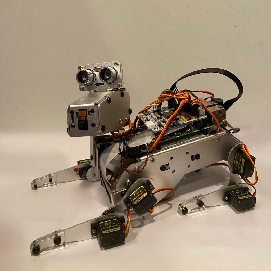 A robot dog poses for the camera